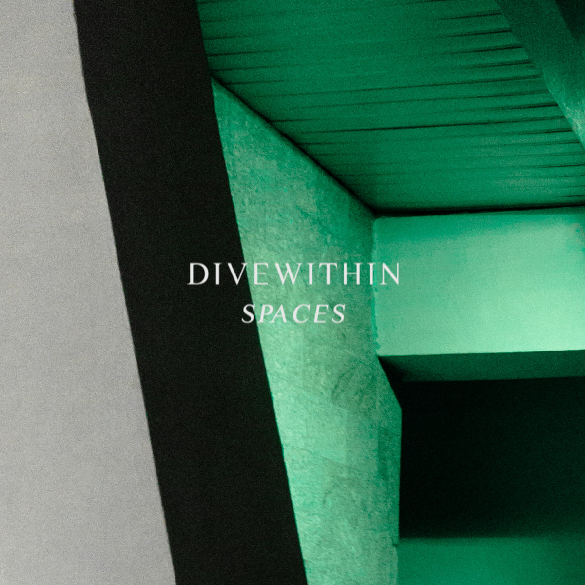 DIVEWITHIN – SPACES