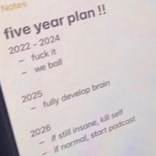 meme: five-year plan