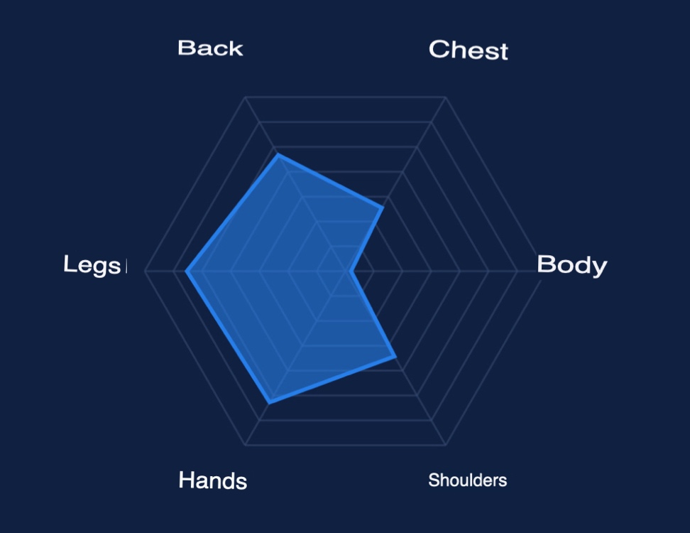 Exercise stats chart for muscle groups