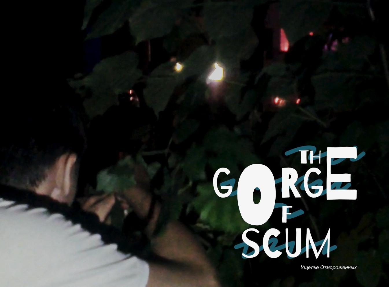 Poster for 🌳 Цясніна Адмарожаных