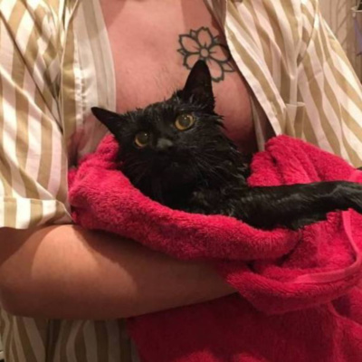 Обложка подкаста